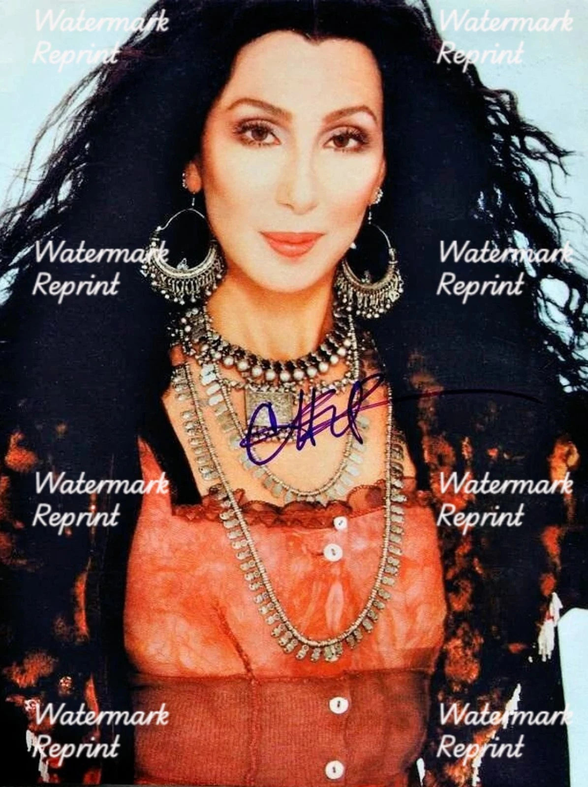 CHER AMERICAN POP SINGER  ACTRESS SIGNED GLOSSY PHOTO 8"X11". #4