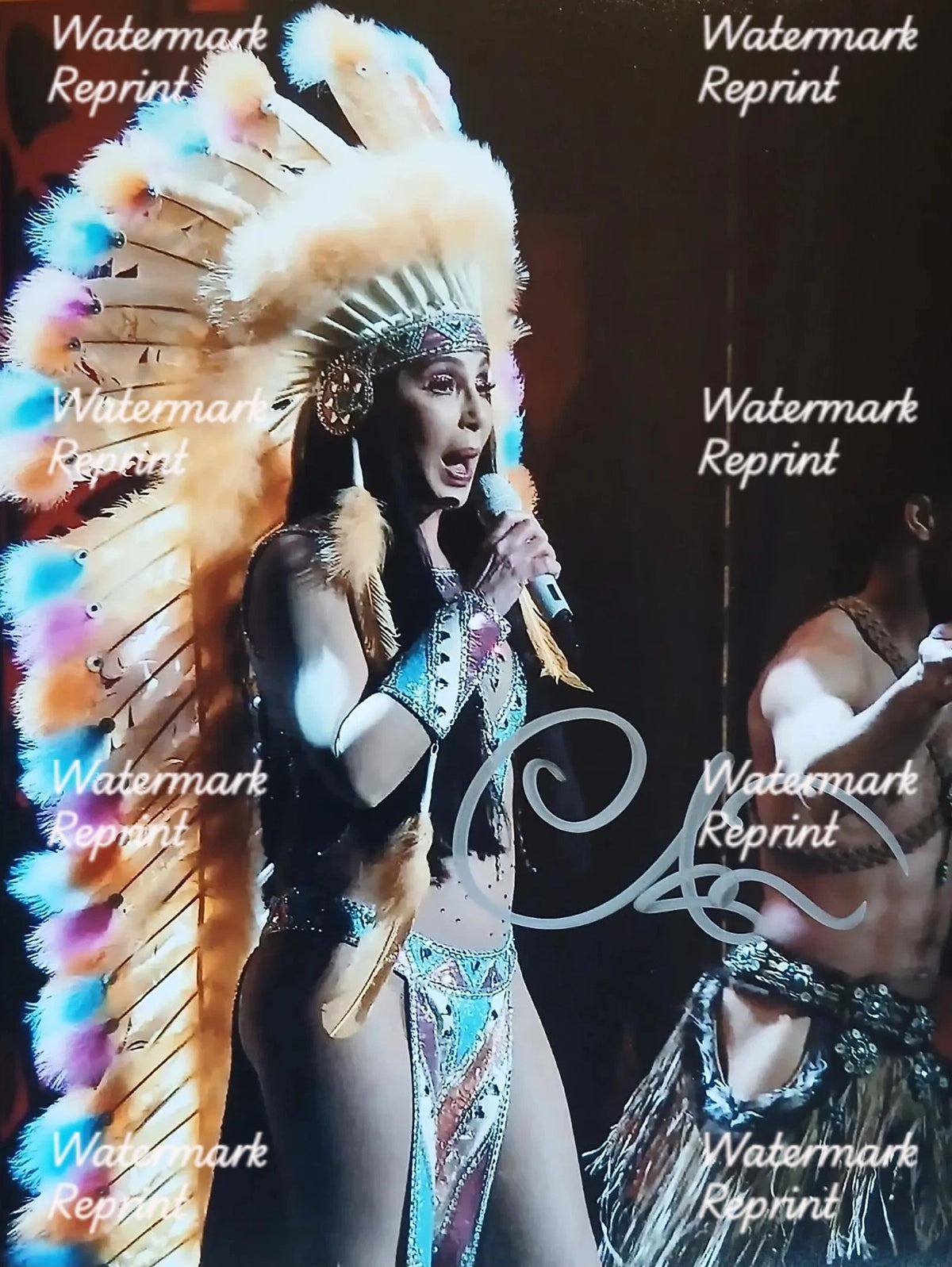 CHER AMERICAN POP SINGER  ACTRESS SIGNED GLOSSY PHOTO 8"X11". #3