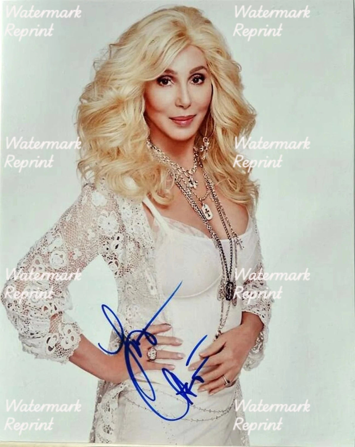 CHER AMERICAN POP SINGER  ACTRESS SIGNED GLOSSY PHOTO 8"X11". #2