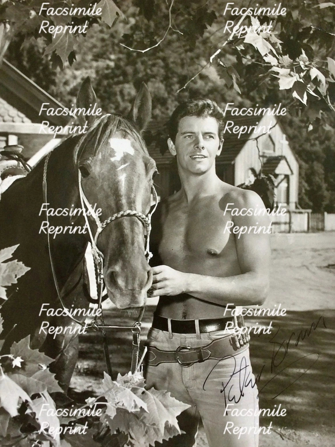 PETER BROWN AMERICAN ACTOR FACSIMILE SIGNED REPRINT VINTAGE B/ W PHOTO 8"X11".