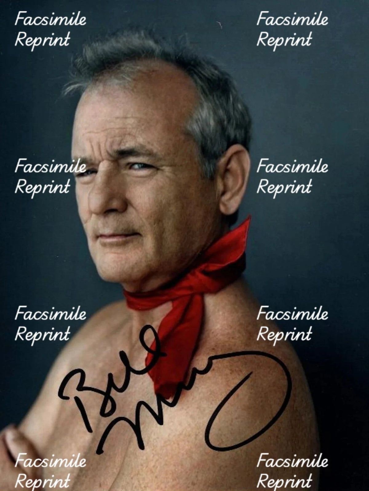 BILL MURRAY AMERICAN ACTOR COMEDIAN FACSIMILE SIGNED GLOSSY PHOTO 8"X11".#2