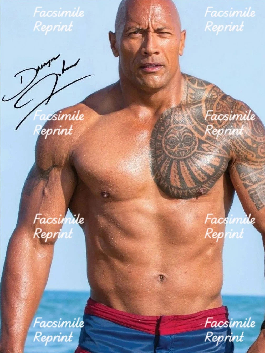 DWAYNE JOHNSON AMERICAN ACTOR WRESTLER  SIGNED GLOSSY PHOTO 8"X11". #5