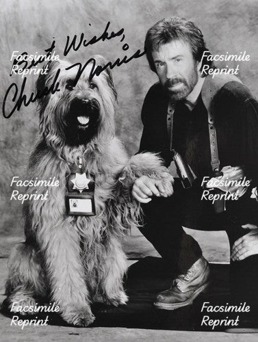 CHUCK NORRIS TOP DOG AMERICAN MARTIAL ARTIST FACSIMILE SIGNED PHOTO 8"X11".#13