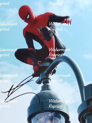 TOM HOLLAND SPIDERMAN SIGNED GLOSSY PHOTO 8"X11". #2